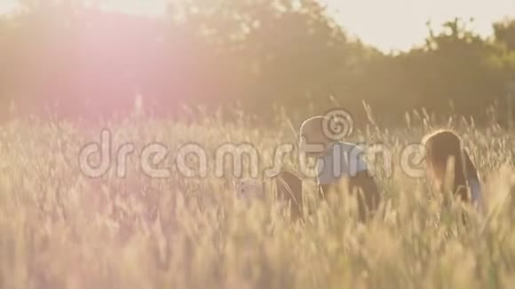一位年轻的父亲怀里抱着一个小女儿一位母亲在一片麦田里在阳光下的绿色小穗中视频的预览图