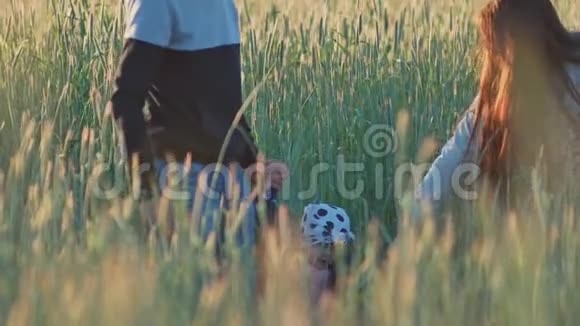 幸福的年轻家庭三个人一起在一片麦田中的绿色小穗父母抱着一个小女儿视频的预览图
