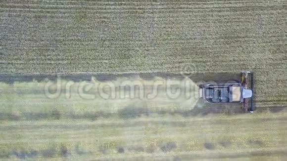 联合收割机的鸟瞰图油菜田的收获农业主题的产业背景生物燃料视频的预览图