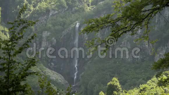 高加索山脉中的瀑布被许多松树和灌木包围最终形成一条山河视频的预览图