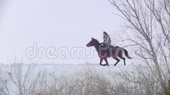 年轻女子骑着红马在雪地的户外驰骋慢动作视频的预览图