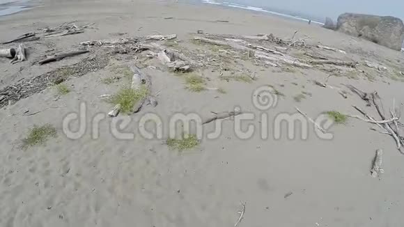 驾驶飞机飞越沙滩走向海洋视频的预览图