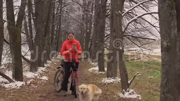 狗和女主人一起在树林里散步金毛猎犬看着镜头女主人和一只狗散步视频的预览图