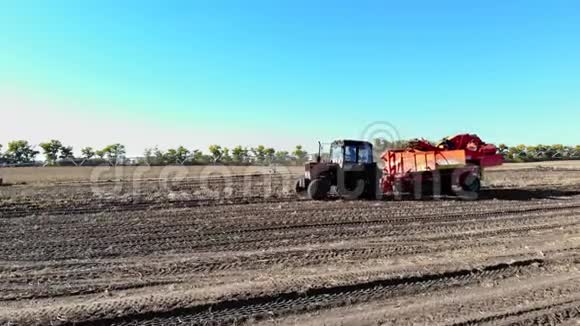 空中录像农业机械在农业领域收获新鲜的有机马铃薯加上拖拉机红色视频的预览图