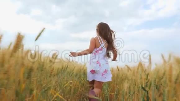 女孩沿着麦田奔跑视频的预览图