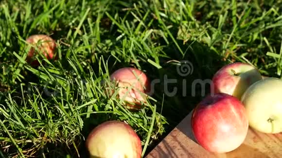 厨房板上的苹果草全景视频的预览图