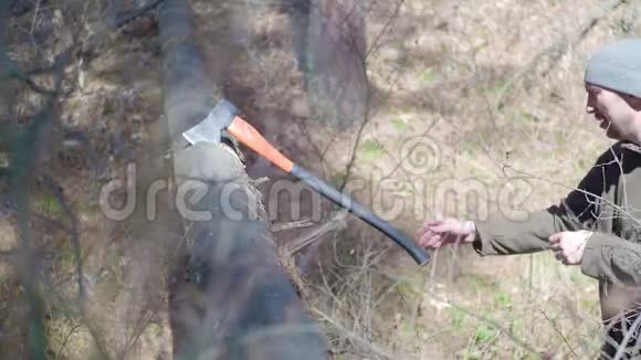 俯视图作物强壮的男人伐木工人把斧子斧子斧头放进树里然后把它拿回来腿和手视频的预览图
