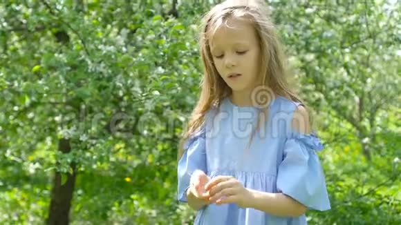 春天盛开的苹果树花园里的小女孩玩瓢虫视频的预览图