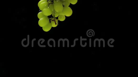 黑底透明水下漂浮的绿色葡萄枝视频的预览图