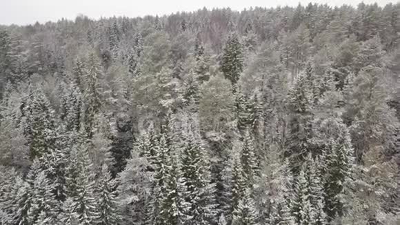 欧洲白雪皑皑的松树上天空中的美丽无人机表演视频的预览图