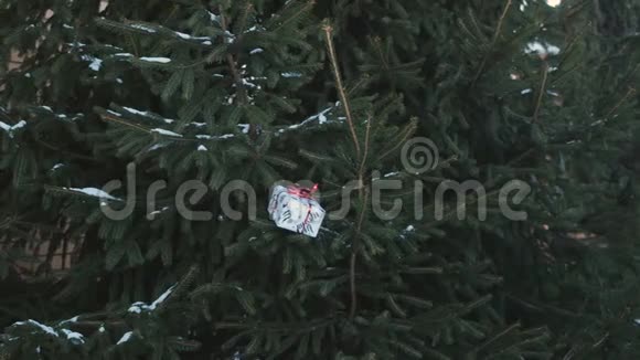 红唇可爱的女孩来到杉树前从树枝上拿走一份节日礼物视频的预览图