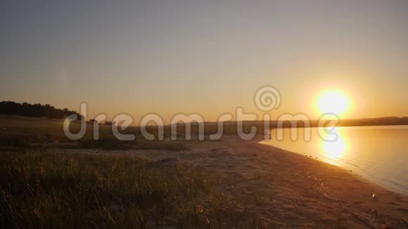 日落时分美丽的狗在沙滩上奔跑视频的预览图