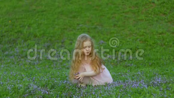 小女孩在草地上采花视频的预览图