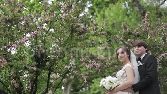 英俊的新郎拥抱他美丽的新娘新婚夫妇在公园里散步棕色头发的女人穿着优雅的婚纱视频的预览图