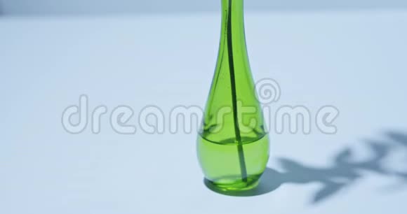 绿色的树枝绿色的玻璃透明的瓶子蓝色的背景上有水柔和模糊的阴影视频的预览图