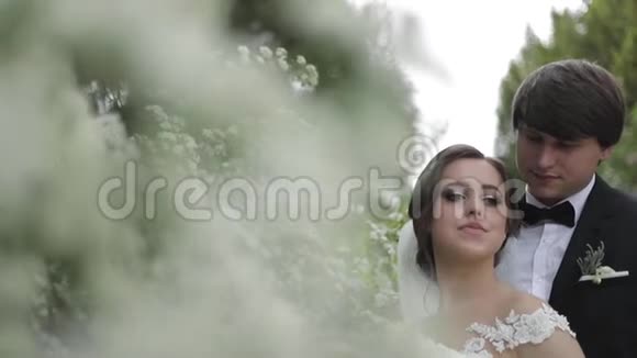 英俊的新郎拥抱他美丽的新娘新婚夫妇在公园里散步棕色头发的女人穿着优雅的婚纱视频的预览图