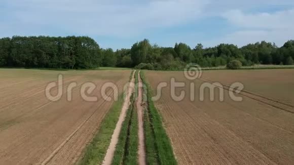 农田路和春天新播种的耕地空中视频的预览图