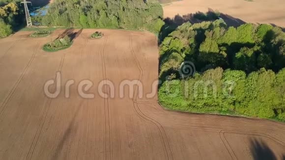 美丽的农田春天刚刚播种的耕地和小树林空中视频的预览图