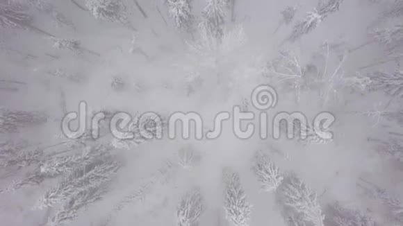 空中俯瞰一辆雪车它骑在一片神奇的雪林中间视频的预览图