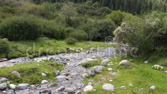 河水在夏季森林绿谷的石头上流淌视频的预览图
