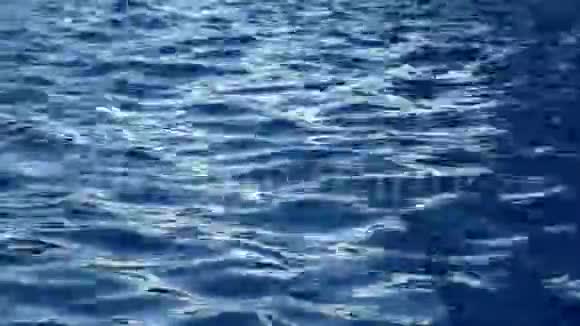 游泳池里的纯蓝色水的波浪表面有光反射漂亮的背景视频的预览图