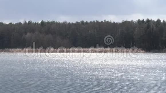 春天湖面上波光粼粼的水视频的预览图