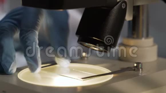 实验室工作人员在显微镜下更好地观察照明样品幻灯片视频的预览图