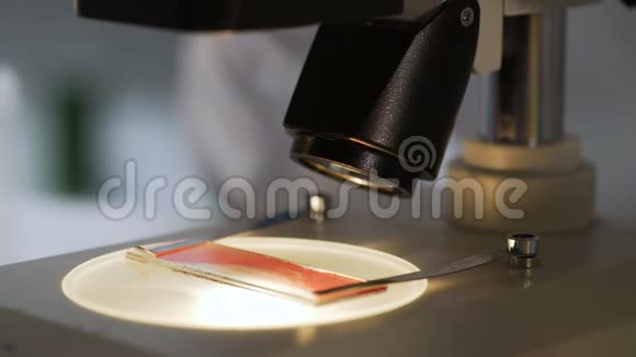 生物学家在显微镜下研究血样进行医学研究视频的预览图