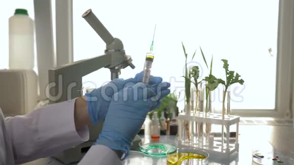 在明亮照明的实验实验室用注射器将药物注入转基因植物视频的预览图