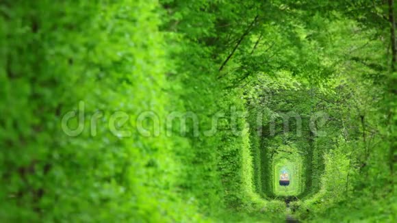 绿色隧道和火车视频的预览图
