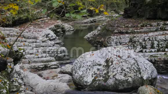 StonyPsaho河流经高加索4K深秋的盒子森林视频的预览图