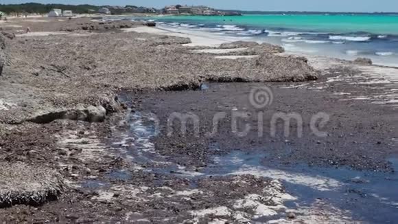 萨拉皮塔西班牙马洛卡在夏季爱斯拉皮塔海滩上的景观被藻类覆盖视频的预览图