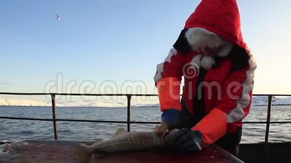 女人在渔船上割了鱼视频的预览图