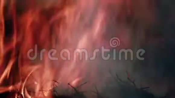 自然破坏与生态破坏生态问题环保理念把火和火的舌头合上视频的预览图