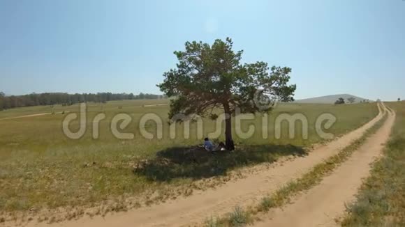 女孩在田野里一棵孤独的树的树荫下休息视频的预览图