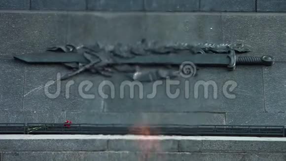 胜利广场的雕塑视频的预览图