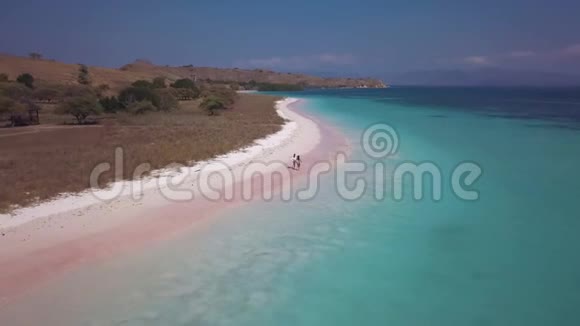 美丽荒凉的异国水景海滩上有粉红色的沙滩蔚蓝的海浪和棕色浓密的海岸两个女孩奔跑着视频的预览图