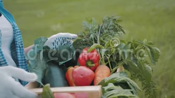 农家女孩在厨房花园里拿着一个木盒子里面放着蔬菜收获时间家庭农场主的概念视频的预览图
