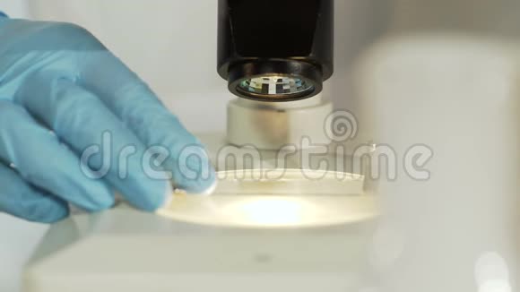实验室显微镜下观察样品载玻片瓶中化学反应视频的预览图