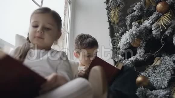 近距离的孩子们坐在靠近圣诞树的大窗户的窗台上读有趣的书视频的预览图
