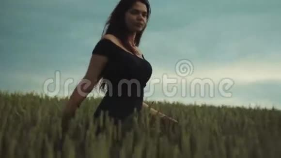 美丽的身材年轻的长发黑发女人享受着风在金色的麦田里徘徊旋转着视频的预览图