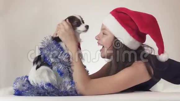 圣诞老人戴着圣诞老人的帽子戴着狗的美丽的少女在新年里他的小罐子快乐地玩耍视频的预览图
