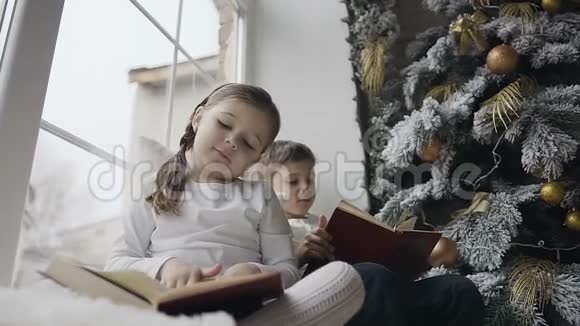 特写在窗台上靠近大窗的姐姐和哥哥看书寒假圣诞树新年视频的预览图