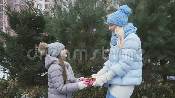 母亲和女儿手里拿着礼物在杉树的背景下视频的预览图