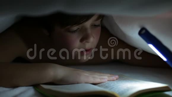 小男孩晚上读一本迷人的书视频的预览图