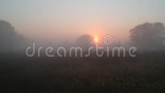 其他星球美妙的日出阳光透过树枝和雾秋天的早晨视频的预览图
