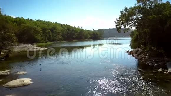 小鸟飞在河上急流冲着丛林视频的预览图