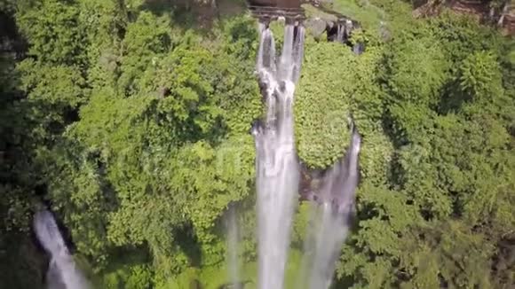 热带雨林野生动物的壮丽景色奇妙的瀑布把它们的水带下视频的预览图