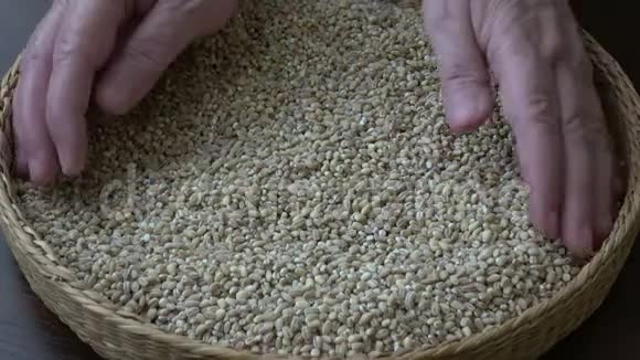 观成一筐装满麦粒小麦小麦和谷物视频的预览图