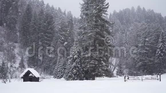 在大雪下被遗弃的小木屋视频的预览图